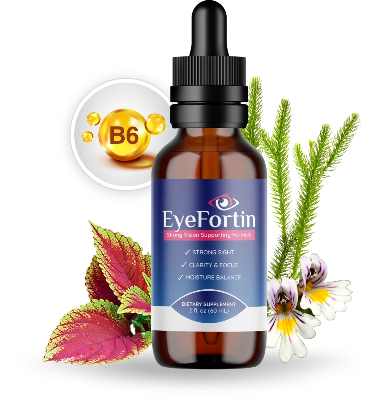 EyeFortin Natural Vision Support
